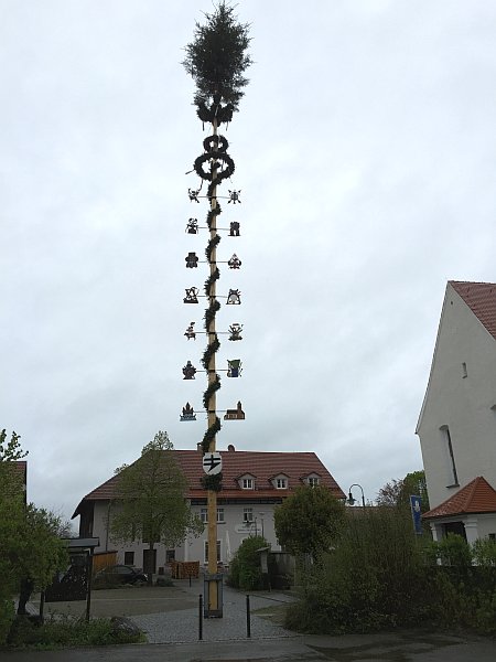 IMG_0338_Maibaum_klein